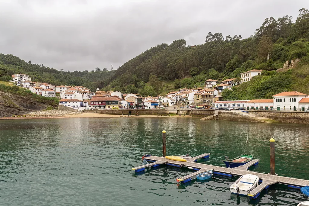 tazones_puerto